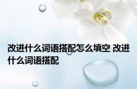 改进什么词语搭配怎么填空 改进什么词语搭配