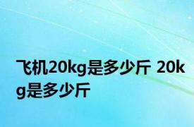 飞机20kg是多少斤 20kg是多少斤