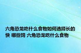 六角恐龙吃什么食物如何选择长的快 哪些饲 六角恐龙吃什么食物