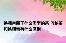 铁观音属于什么类型的茶 乌龙茶和铁观音有什么区别