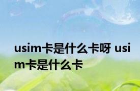 usim卡是什么卡呀 usim卡是什么卡