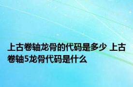 上古卷轴龙骨的代码是多少 上古卷轴5龙骨代码是什么