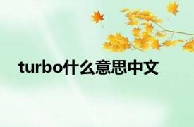 turbo什么意思中文