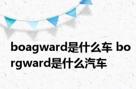 boagward是什么车 borgward是什么汽车