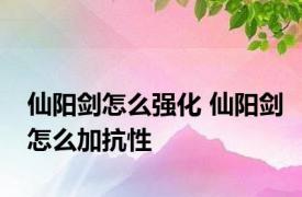 仙阳剑怎么强化 仙阳剑怎么加抗性