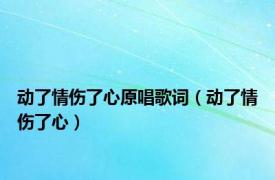 动了情伤了心原唱歌词（动了情伤了心）