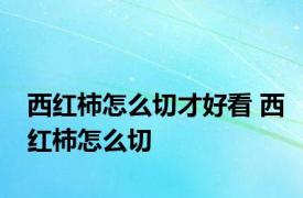 西红柿怎么切才好看 西红柿怎么切