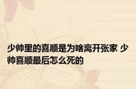 少帅里的喜顺是为啥离开张家 少帅喜顺最后怎么死的