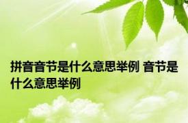 拼音音节是什么意思举例 音节是什么意思举例