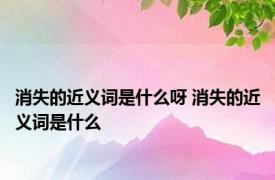 消失的近义词是什么呀 消失的近义词是什么