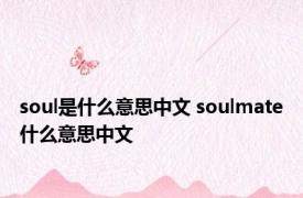 soul是什么意思中文 soulmate什么意思中文