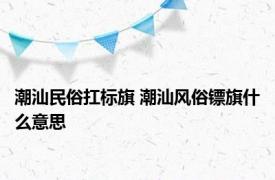 潮汕民俗扛标旗 潮汕风俗镖旗什么意思