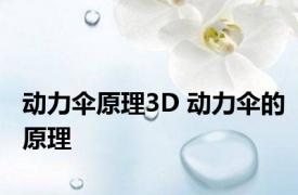 动力伞原理3D 动力伞的原理