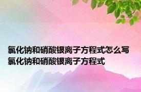 氯化钠和硝酸银离子方程式怎么写 氯化钠和硝酸银离子方程式