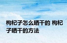 枸杞子怎么晒干的 枸杞子晒干的方法