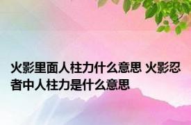 火影里面人柱力什么意思 火影忍者中人柱力是什么意思