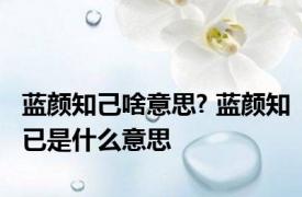 蓝颜知己啥意思? 蓝颜知已是什么意思