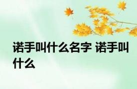 诺手叫什么名字 诺手叫什么