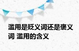 滥用是贬义词还是褒义词 滥用的含义