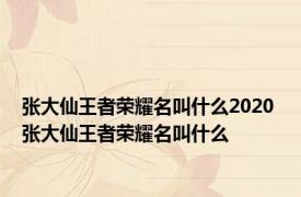 张大仙王者荣耀名叫什么2020 张大仙王者荣耀名叫什么