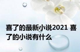 喜了的最新小说2021 喜了的小说有什么