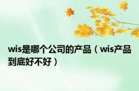 wis是哪个公司的产品（wis产品到底好不好）