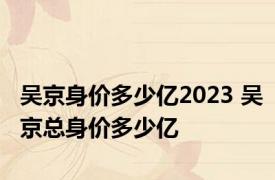 吴京身价多少亿2023 吴京总身价多少亿