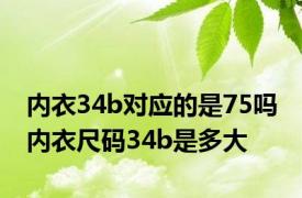 内衣34b对应的是75吗 内衣尺码34b是多大