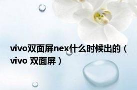 vivo双面屏nex什么时候出的（vivo 双面屏）