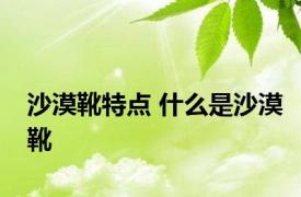 沙漠靴特点 什么是沙漠靴