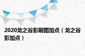 2020龙之谷影刷图加点（龙之谷影加点）