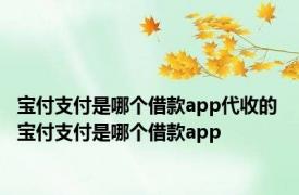 宝付支付是哪个借款app代收的 宝付支付是哪个借款app