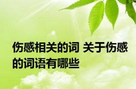 伤感相关的词 关于伤感的词语有哪些