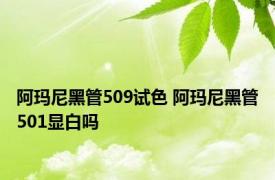 阿玛尼黑管509试色 阿玛尼黑管501显白吗