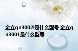 金立gn3002l是什么型号 金立gn3001是什么型号