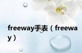 freeway手表（freeway）