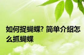 如何捉蝴蝶? 简单介绍怎么抓蝴蝶