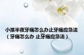 小孩半夜牙痛怎么办止牙痛应急法（牙痛怎么办 止牙痛应急法）