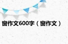 窗作文600字（窗作文）