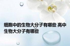 细胞中的生物大分子有哪些 高中生物大分子有哪些