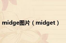 midge图片（midget）