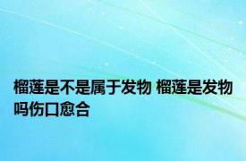 榴莲是不是属于发物 榴莲是发物吗伤口愈合