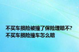 不买车损险被撞了保险理赔不? 不买车损险撞车怎么赔