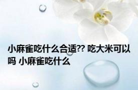 小麻雀吃什么合适?? 吃大米可以吗 小麻雀吃什么