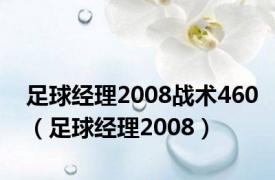 足球经理2008战术460（足球经理2008）