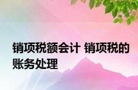 销项税额会计 销项税的账务处理