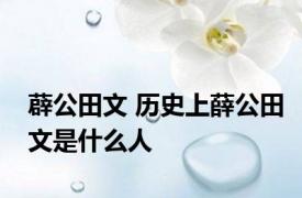 薜公田文 历史上薛公田文是什么人