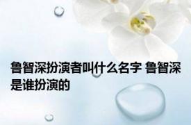 鲁智深扮演者叫什么名字 鲁智深是谁扮演的