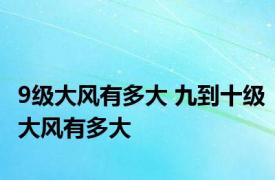 9级大风有多大 九到十级大风有多大