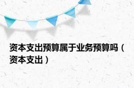 资本支出预算属于业务预算吗（资本支出）